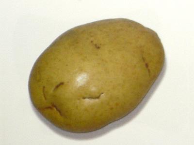 Potato