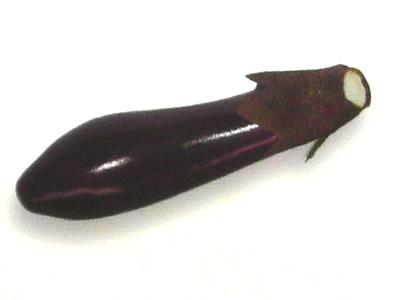 Eggplant