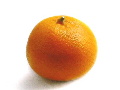 Fruit-Orange